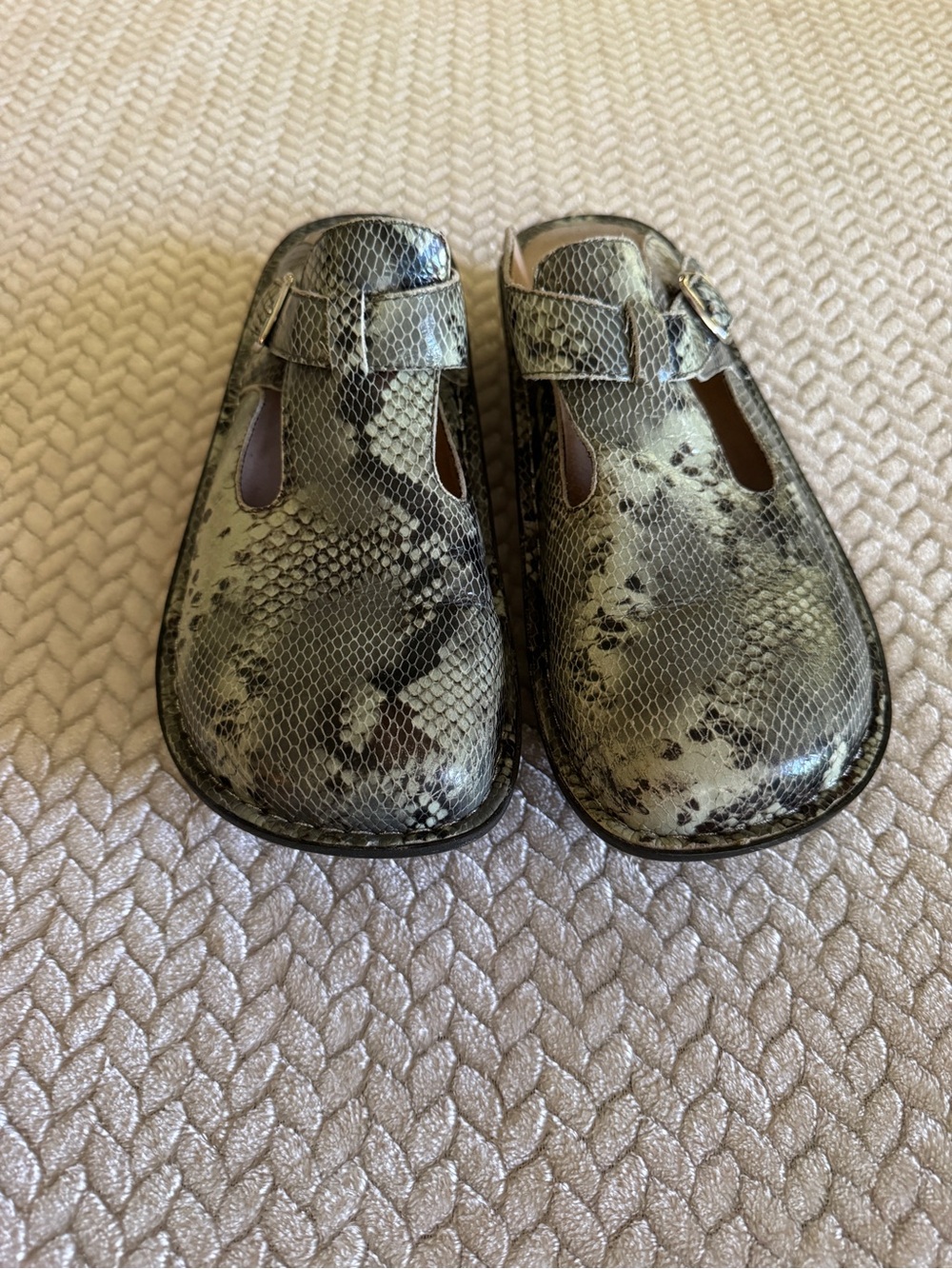 Alegria Snake-Print Mules in Green and Black Size 40